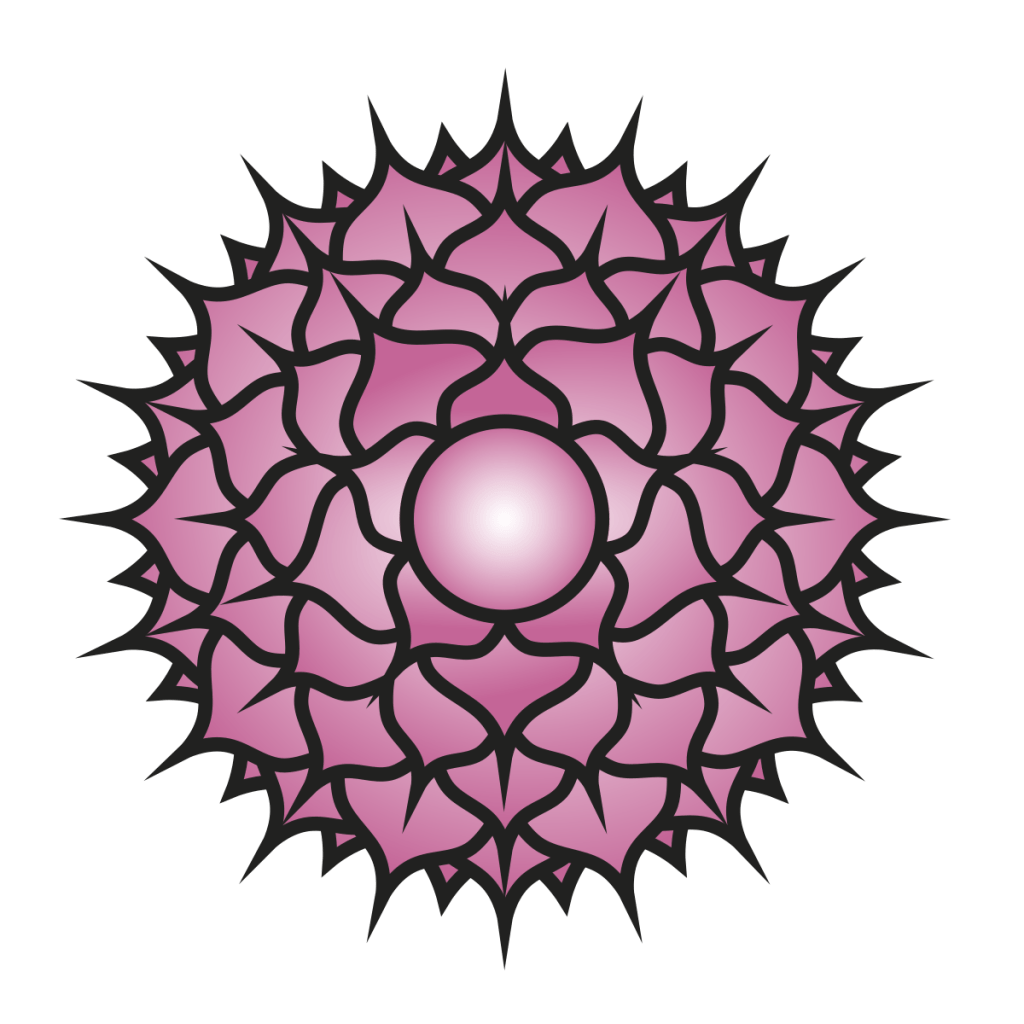 چاکرای تاج (ساهاسرارا – Sahasrara): گشودن دروازه آگاهی برتر با چاکرای تاج
